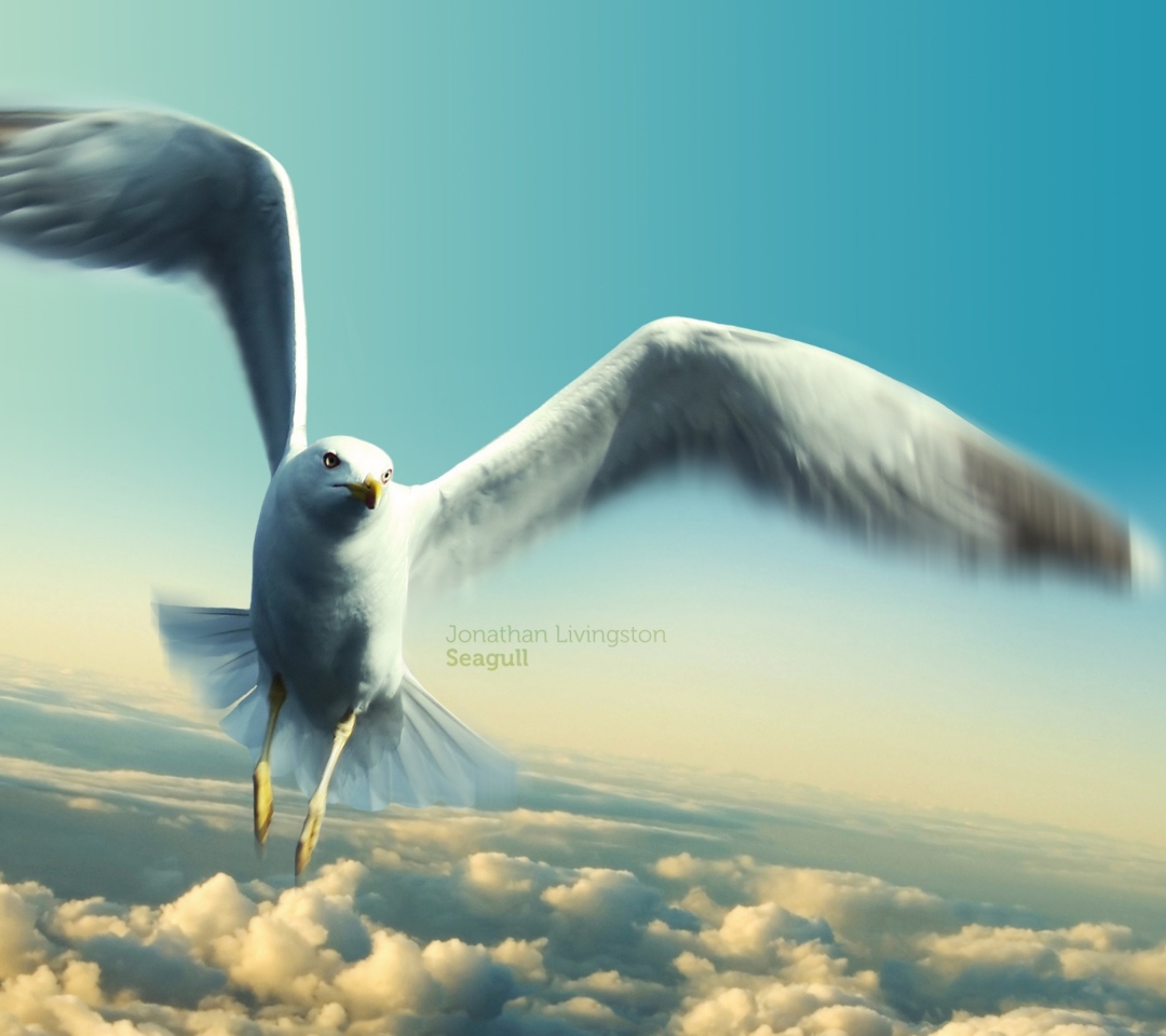 Screenshot №1 pro téma Jonathan Livingston Seagull 1080x960