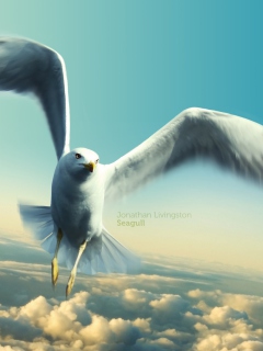 Screenshot №1 pro téma Jonathan Livingston Seagull 240x320