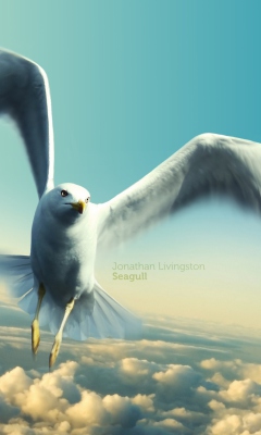 Das Jonathan Livingston Seagull Wallpaper 240x400