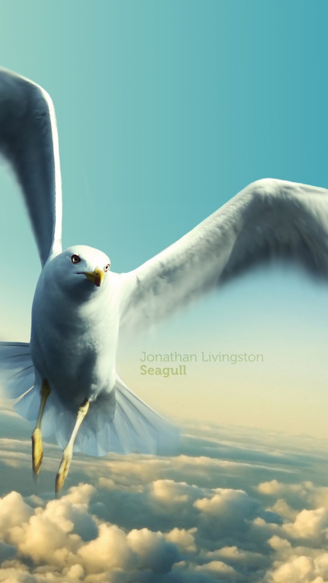 Jonathan Livingston Seagull wallpaper 640x1136