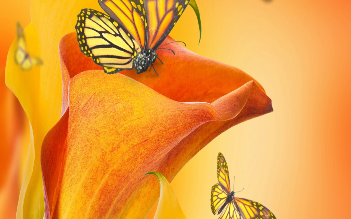 Screenshot №1 pro téma Beautiful Flower 1440x900