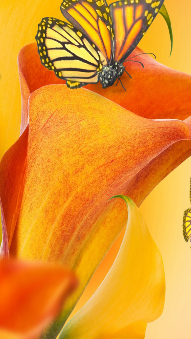 Screenshot №1 pro téma Beautiful Flower 640x1136