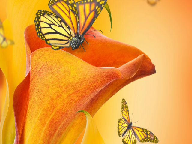 Das Beautiful Flower Wallpaper 640x480