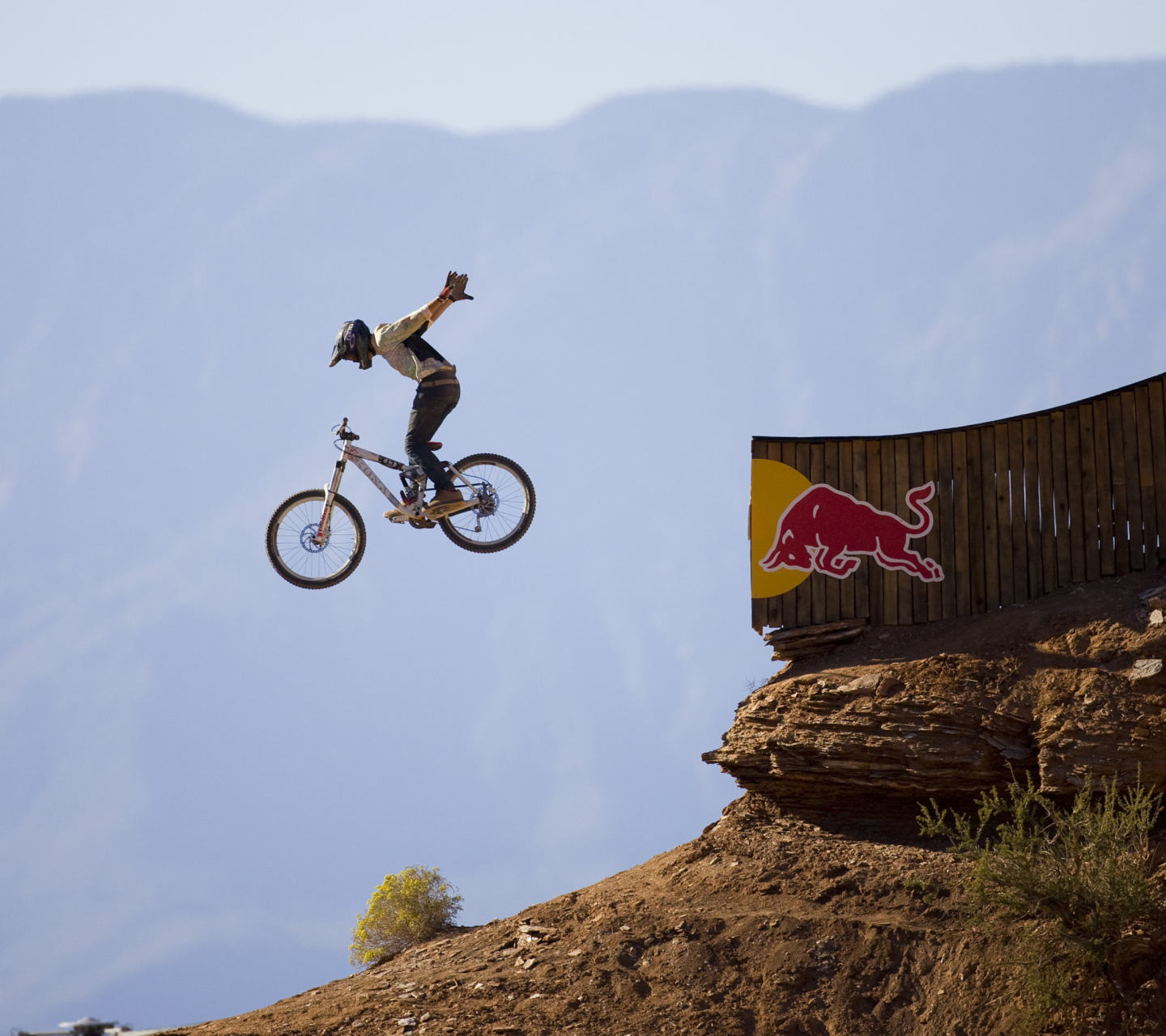Das Red Bull Extreme Bicyclist Wallpaper 1440x1280