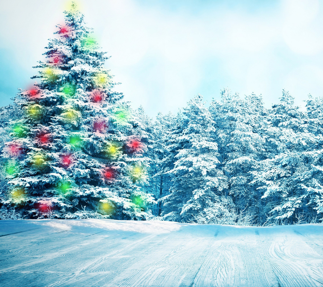 Sfondi Bright Christmas Tree in Forest 1080x960