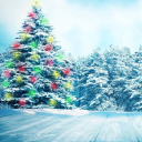 Bright Christmas Tree in Forest wallpaper 128x128