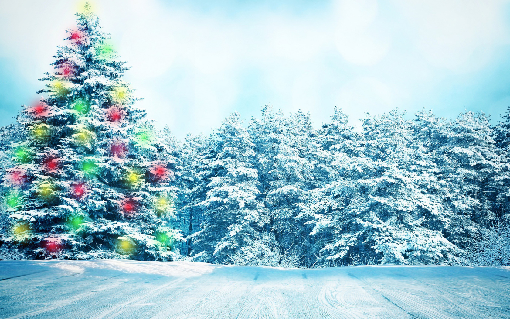 Screenshot №1 pro téma Bright Christmas Tree in Forest 1680x1050