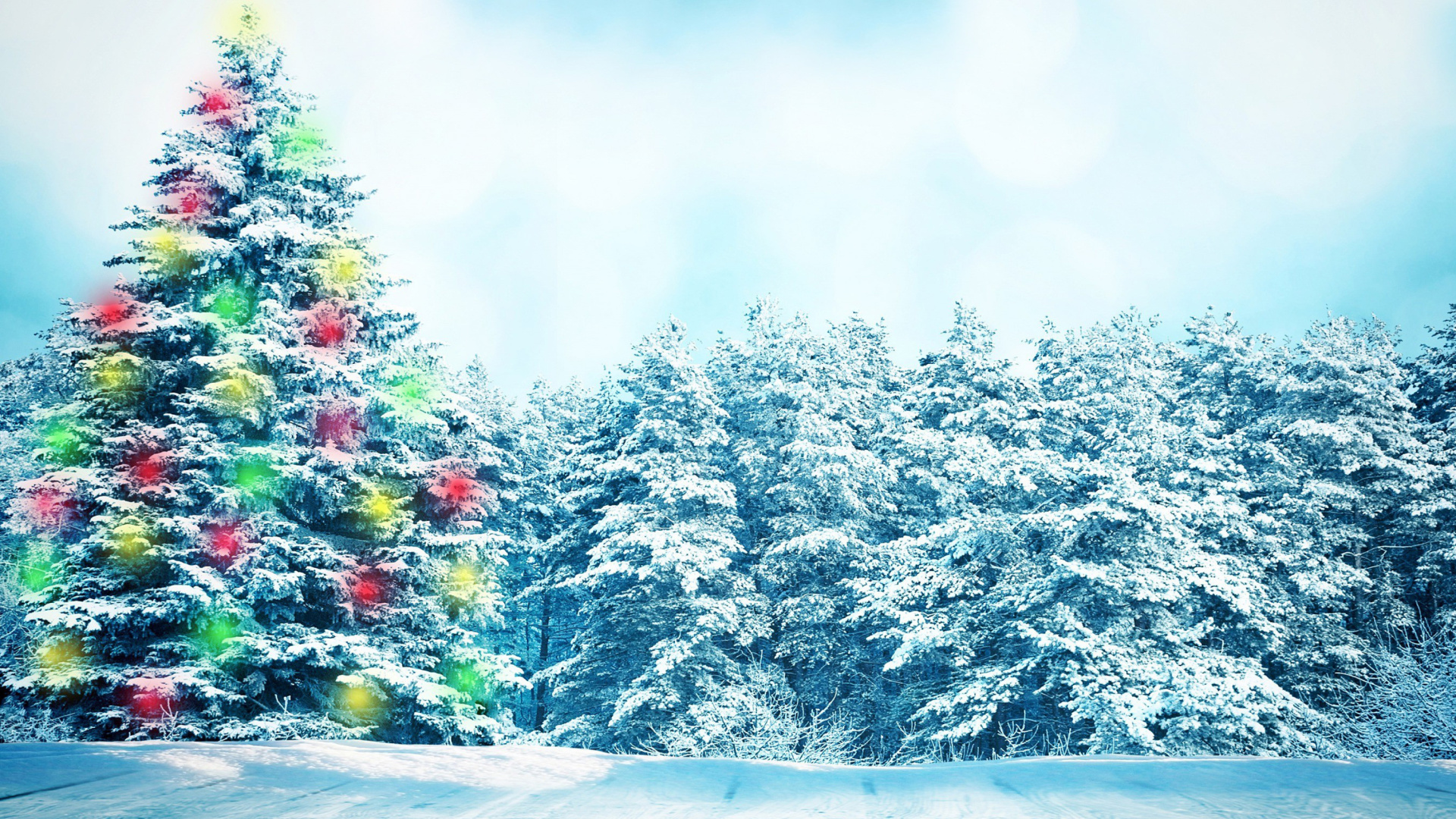 Screenshot №1 pro téma Bright Christmas Tree in Forest 1920x1080
