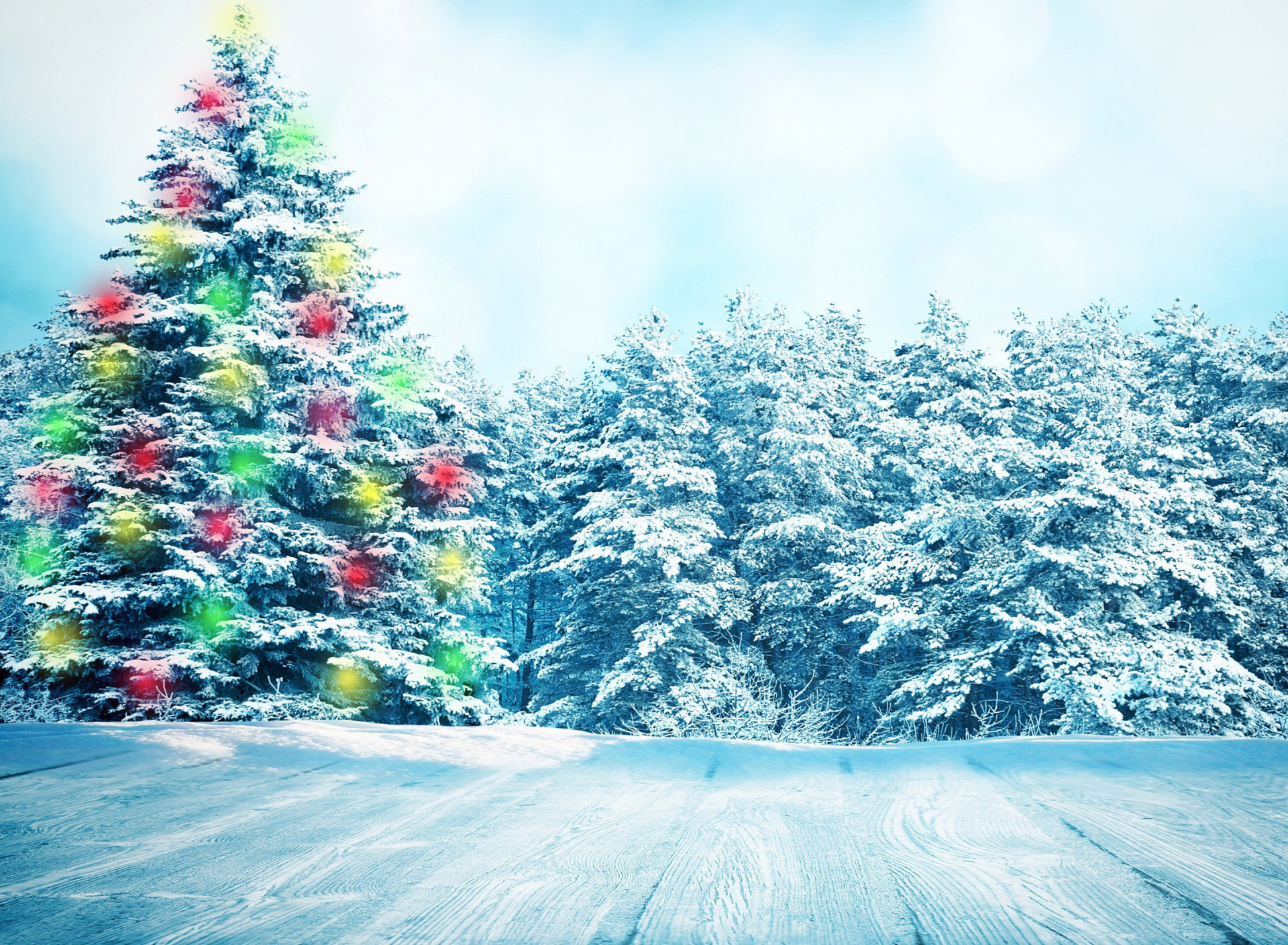 Screenshot №1 pro téma Bright Christmas Tree in Forest 1920x1408