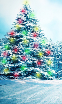Das Bright Christmas Tree in Forest Wallpaper 240x400