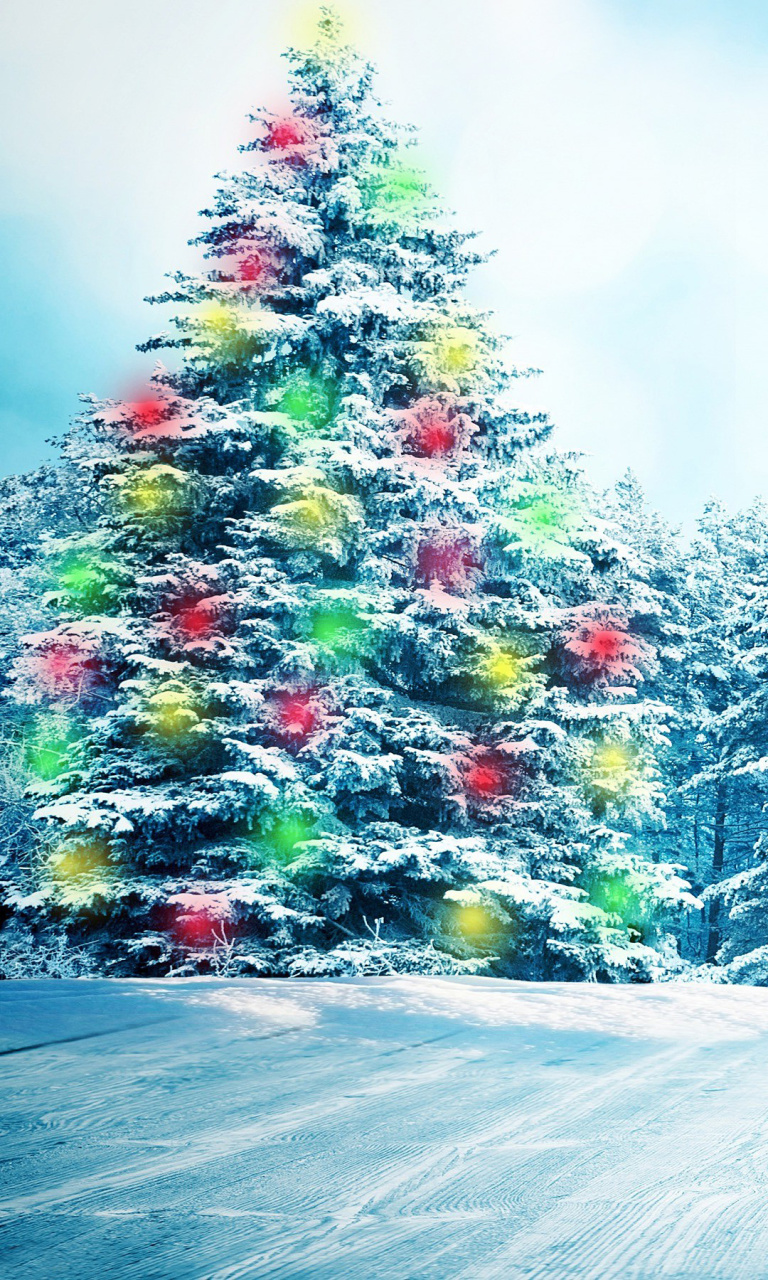 Das Bright Christmas Tree in Forest Wallpaper 768x1280