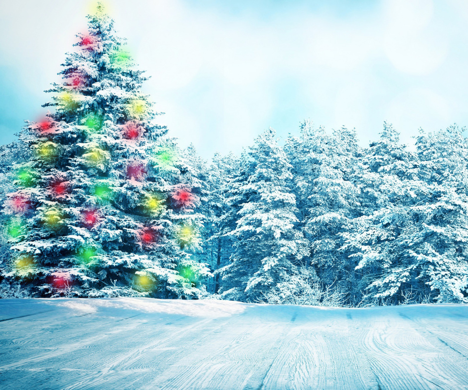 Bright Christmas Tree in Forest screenshot #1 960x800