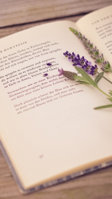 Das Poetry And Lavender Wallpaper 360x640