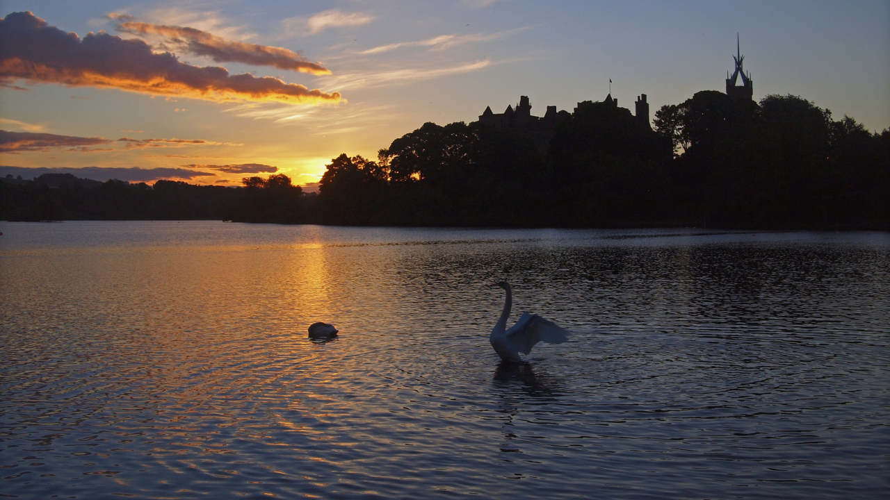 Fondo de pantalla Swan Lake At Sunset 1280x720