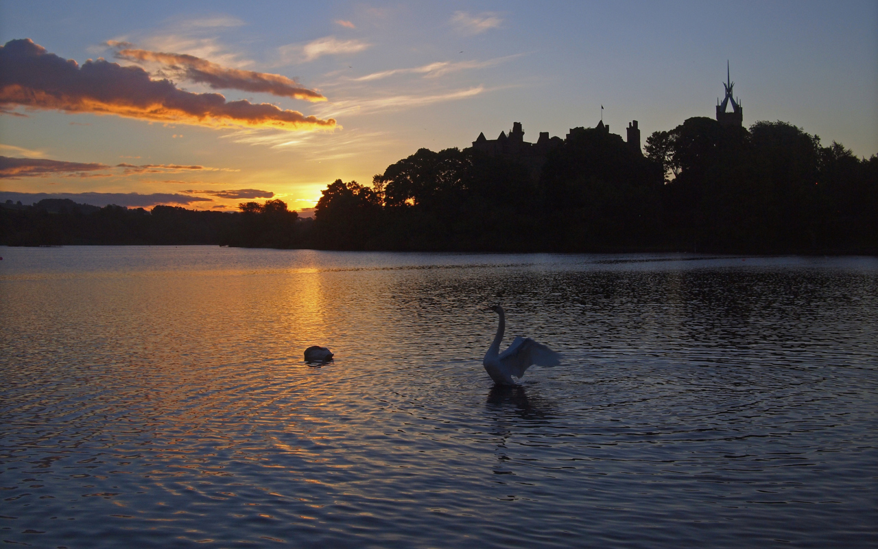 Обои Swan Lake At Sunset 1280x800