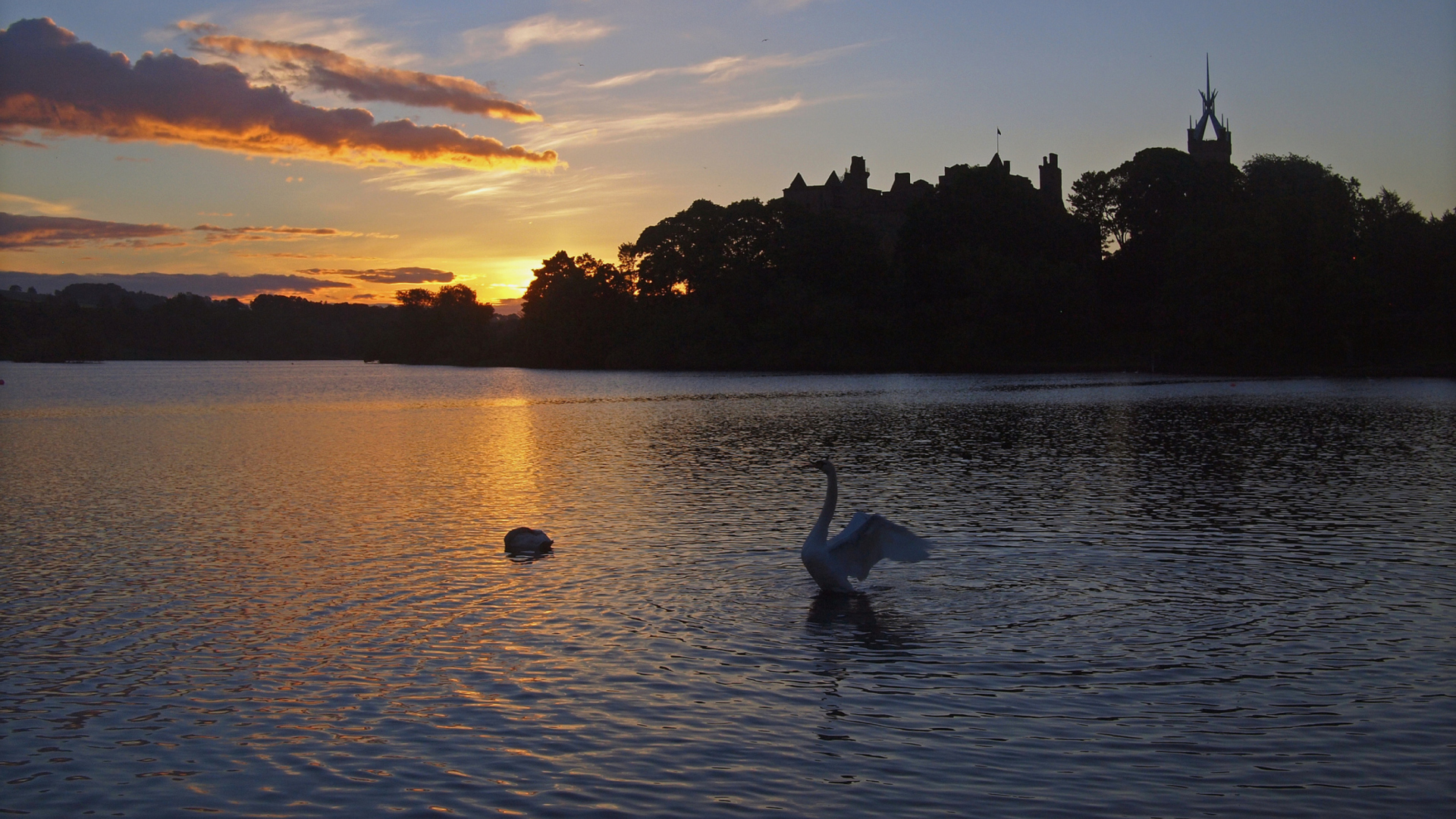 Screenshot №1 pro téma Swan Lake At Sunset 1920x1080