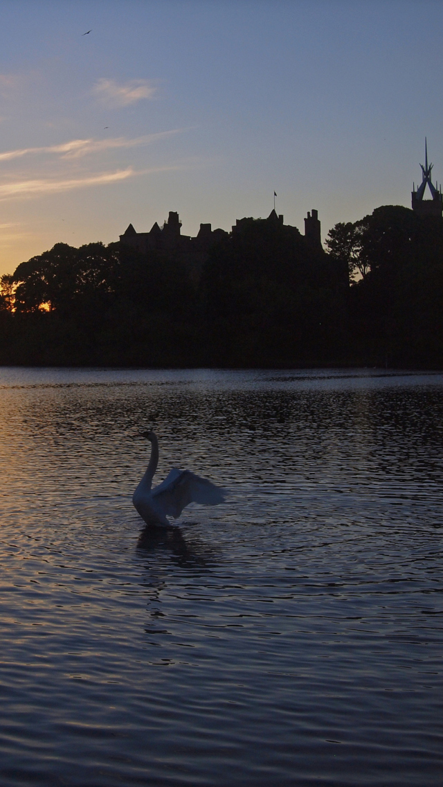 Sfondi Swan Lake At Sunset 640x1136