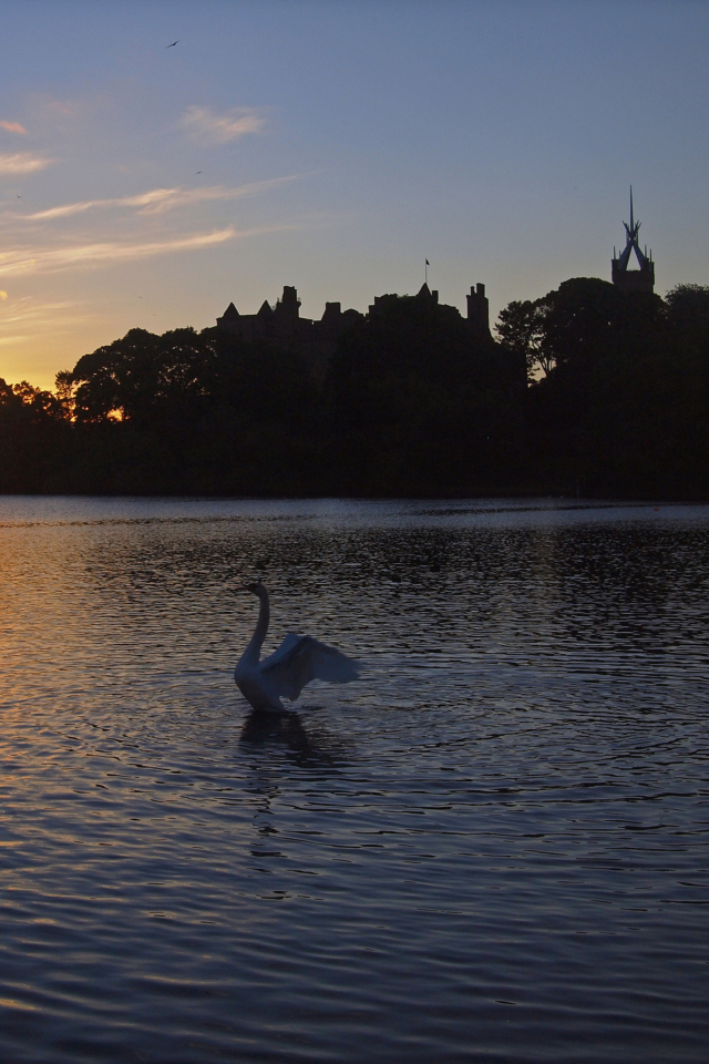 Fondo de pantalla Swan Lake At Sunset 640x960