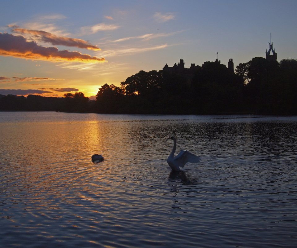 Обои Swan Lake At Sunset 960x800