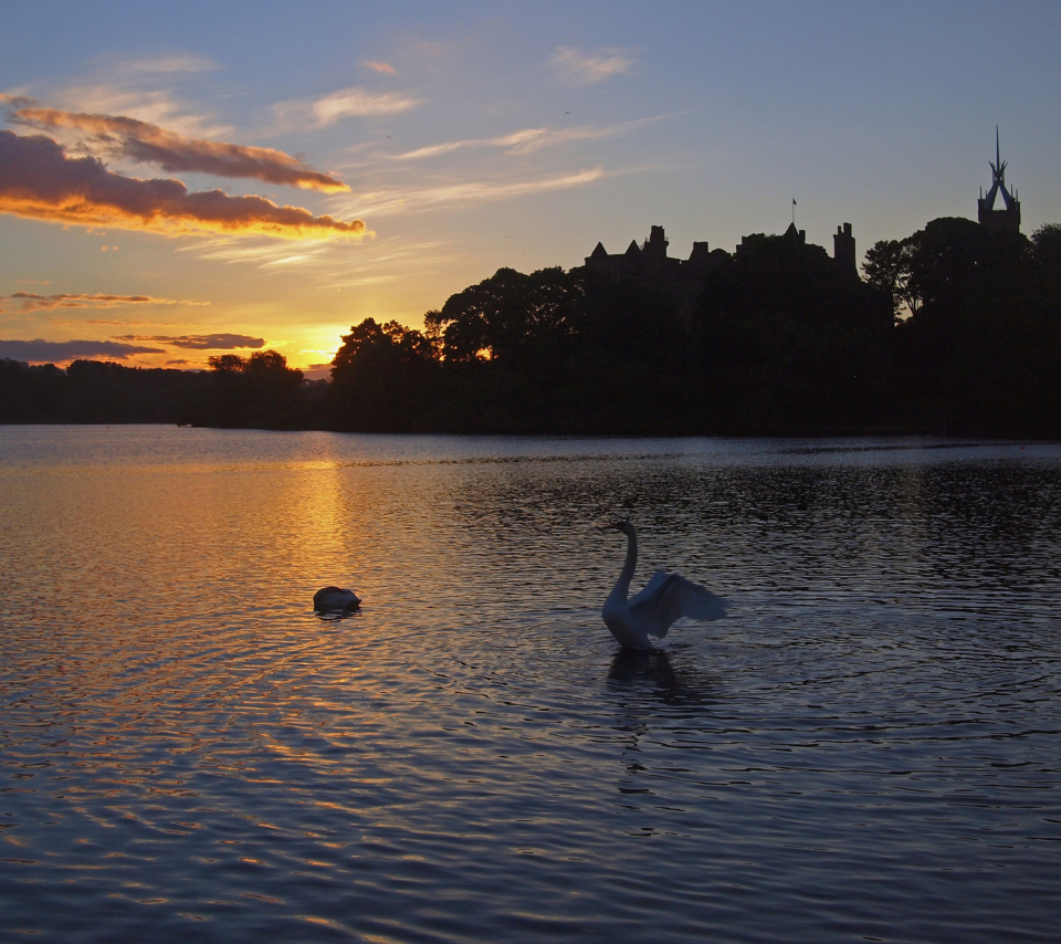 Обои Swan Lake At Sunset 960x854