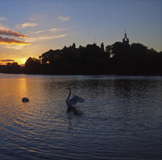 Swan Lake At Sunset - Obrázkek zdarma pro iPad mini 2