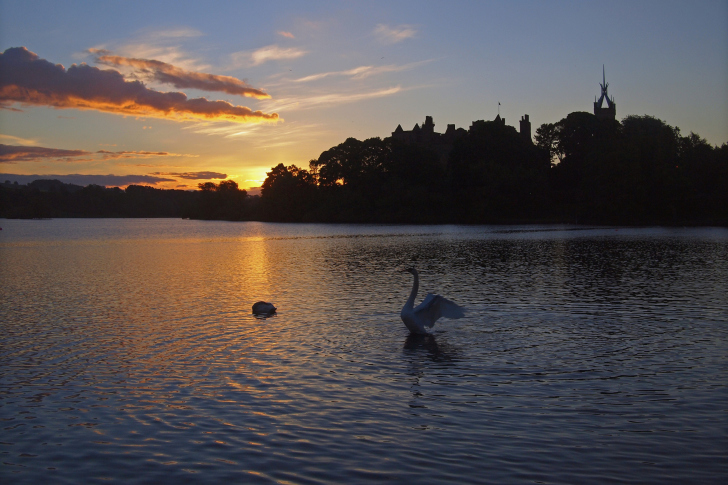 Обои Swan Lake At Sunset