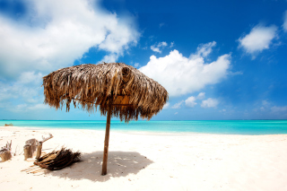 Beach Mauritius - Obrázkek zdarma pro Android 1080x960