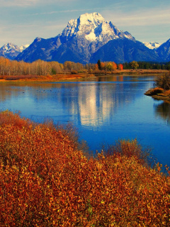 Fondo de pantalla Autumn Landscape in Wisconsin 240x320
