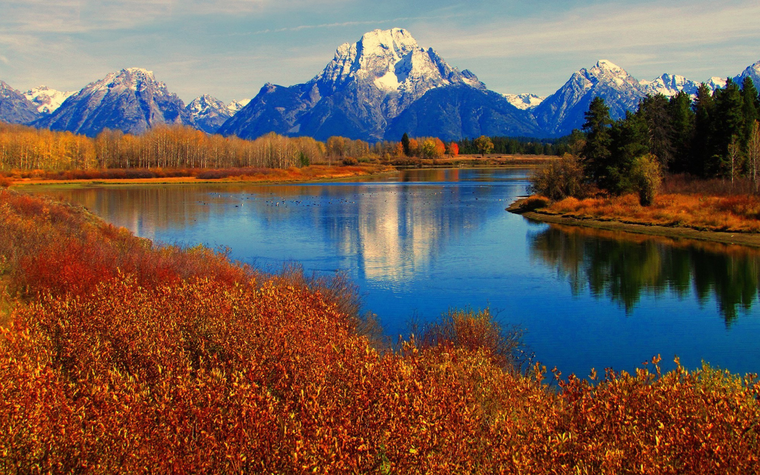 Fondo de pantalla Autumn Landscape in Wisconsin 2560x1600