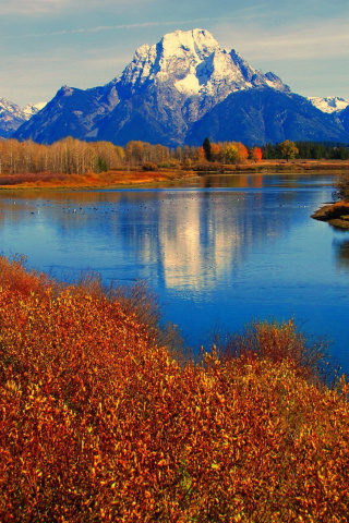 Fondo de pantalla Autumn Landscape in Wisconsin 320x480