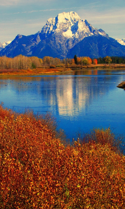 Screenshot №1 pro téma Autumn Landscape in Wisconsin 480x800