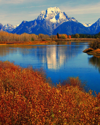 Autumn Landscape in Wisconsin - Obrázkek zdarma pro iPhone 4S