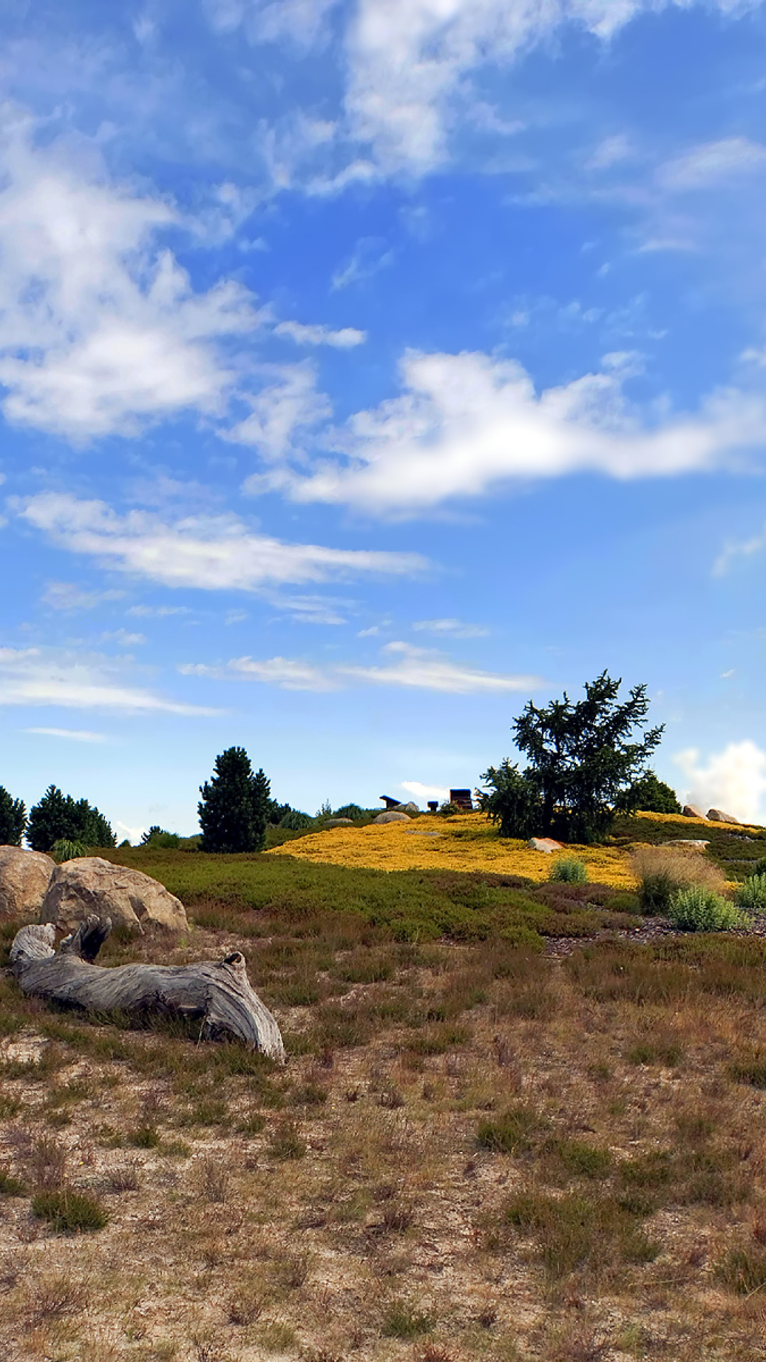 Screenshot №1 pro téma Chile Prairie Landscape 1080x1920