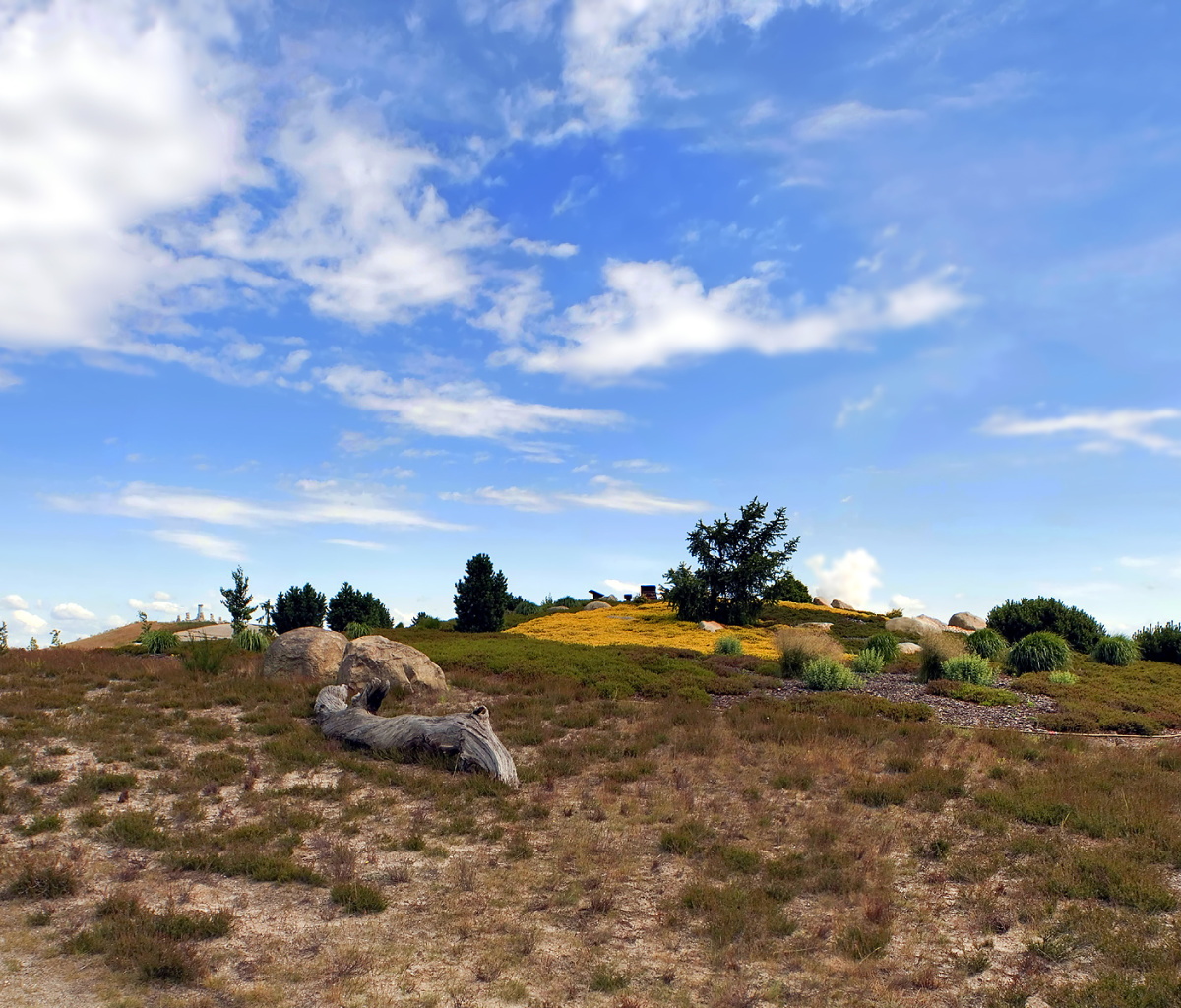 Fondo de pantalla Chile Prairie Landscape 1200x1024