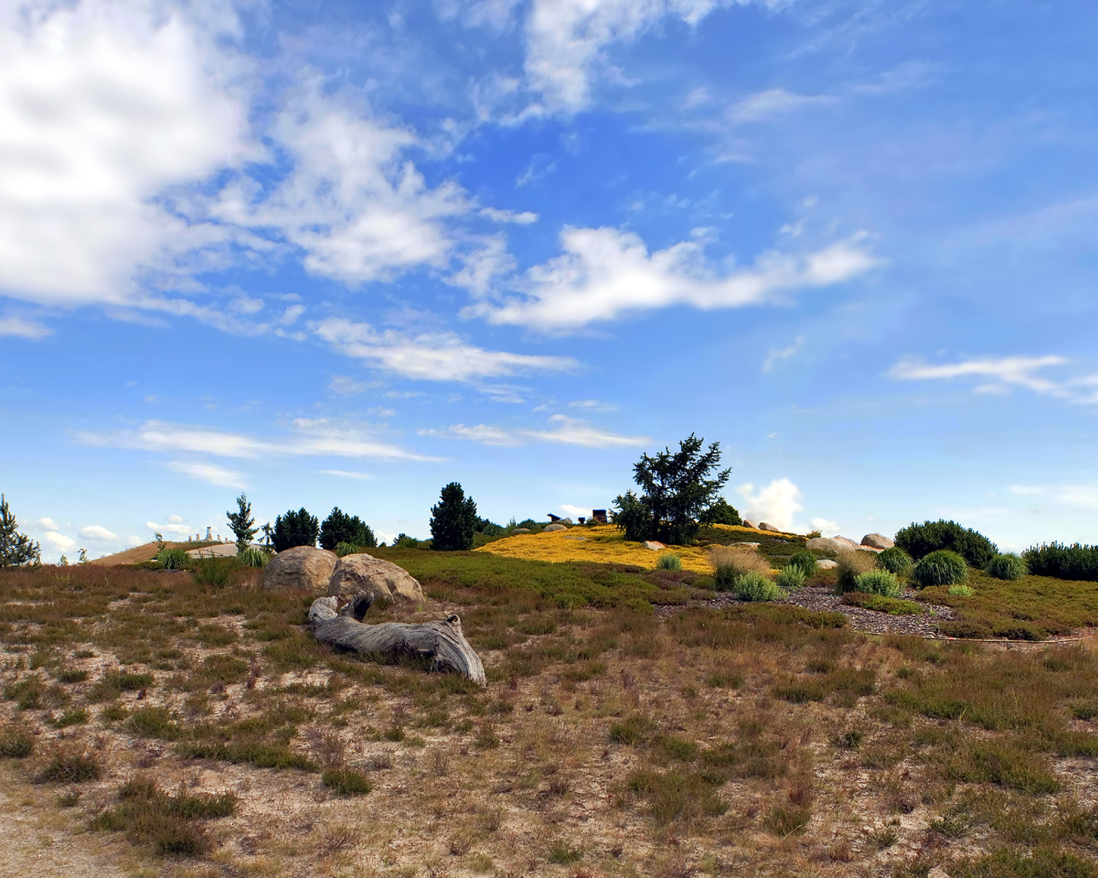 Обои Chile Prairie Landscape 1600x1280
