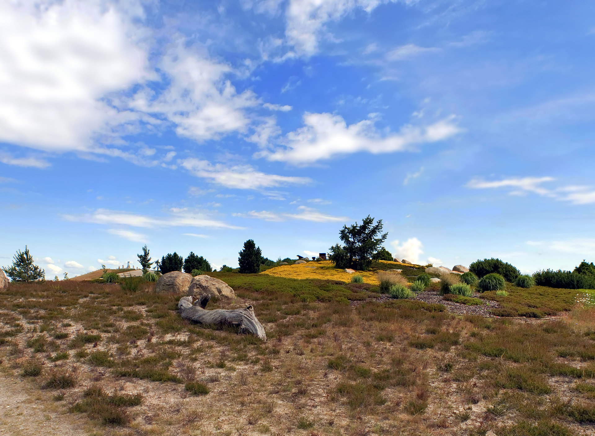 Chile Prairie Landscape screenshot #1 1920x1408