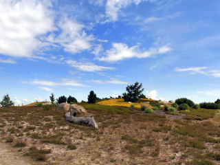 Обои Chile Prairie Landscape 320x240