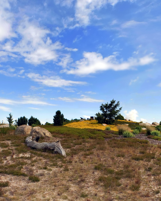 Chile Prairie Landscape sfondi gratuiti per 480x800