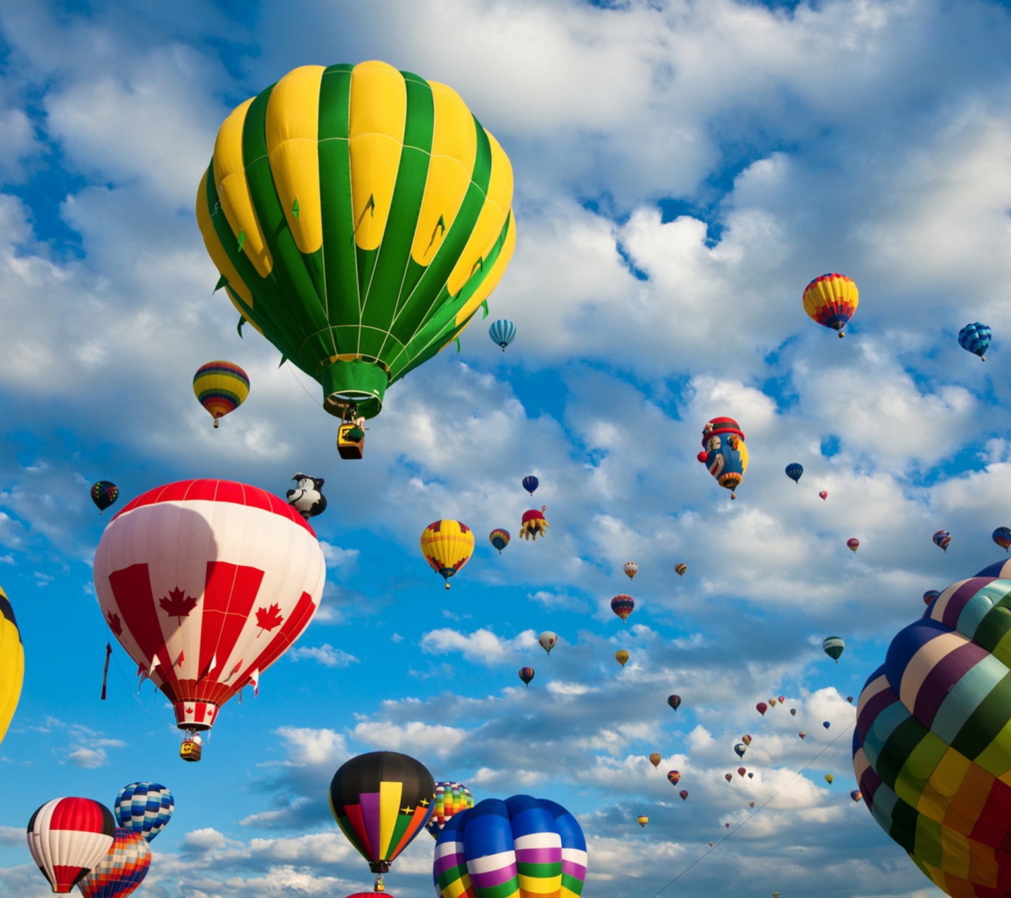 Screenshot №1 pro téma Hot Air Balloons 1440x1280