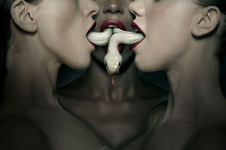 American Horror Story Wallpaper for Android, iPhone and iPad