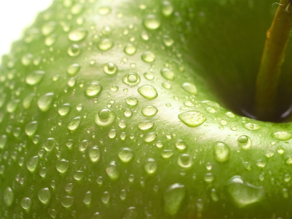 Screenshot №1 pro téma Green Apple Close Up 1024x768