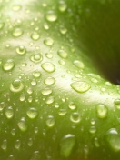 Screenshot №1 pro téma Green Apple Close Up 132x176