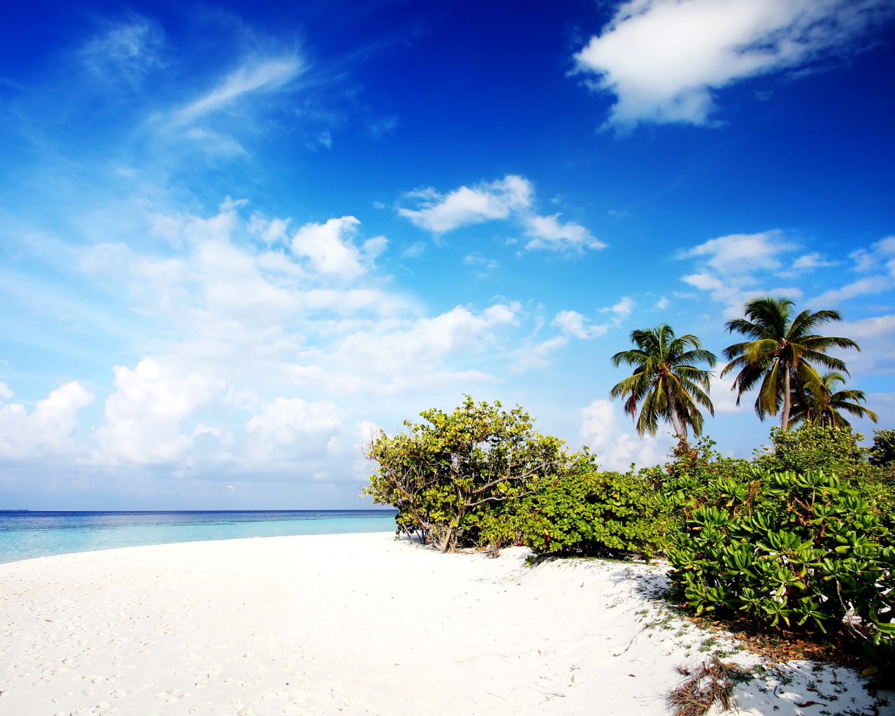 Motu Tofari Paradise Beach screenshot #1 1280x1024