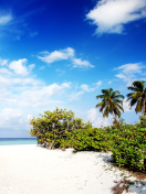 Fondo de pantalla Motu Tofari Paradise Beach 132x176