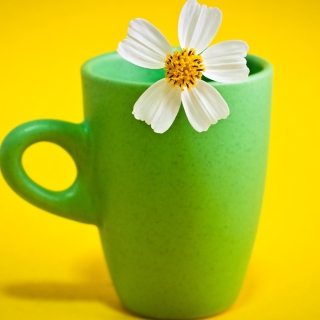 Flower Cup - Obrázkek zdarma pro iPad 3
