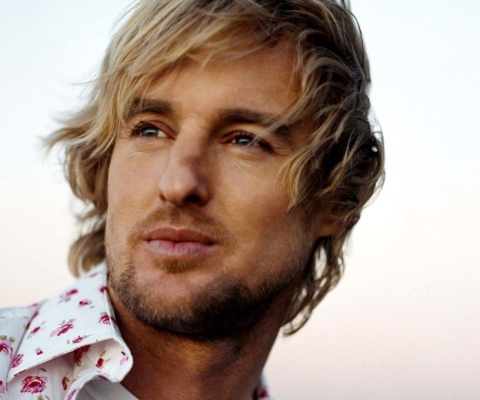 Обои Owen Wilson 480x400