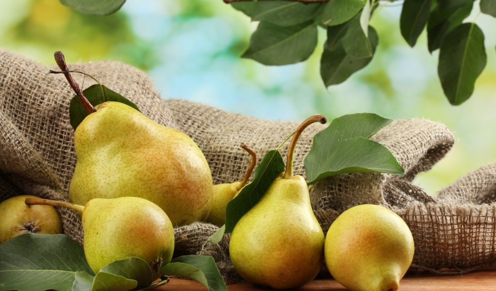 Fresh Pears With Leaves wallpaper 1024x600