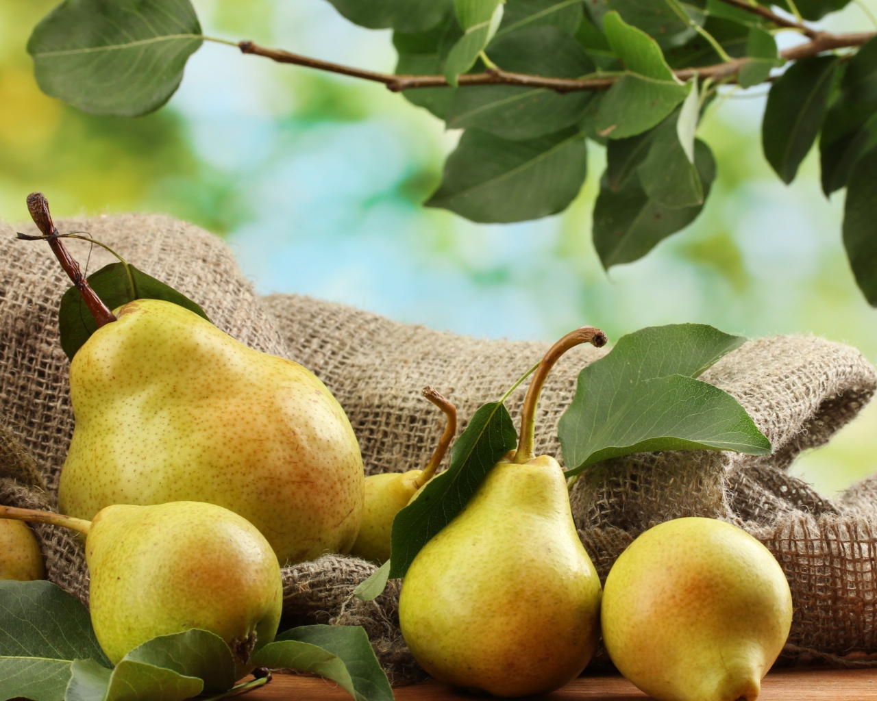 Sfondi Fresh Pears With Leaves 1280x1024