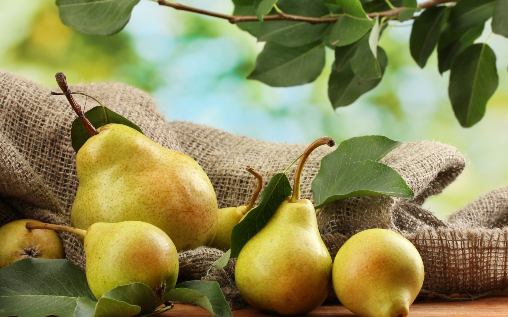 Обои Fresh Pears With Leaves 1680x1050