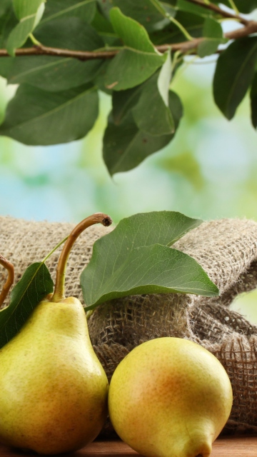 Das Fresh Pears With Leaves Wallpaper 360x640